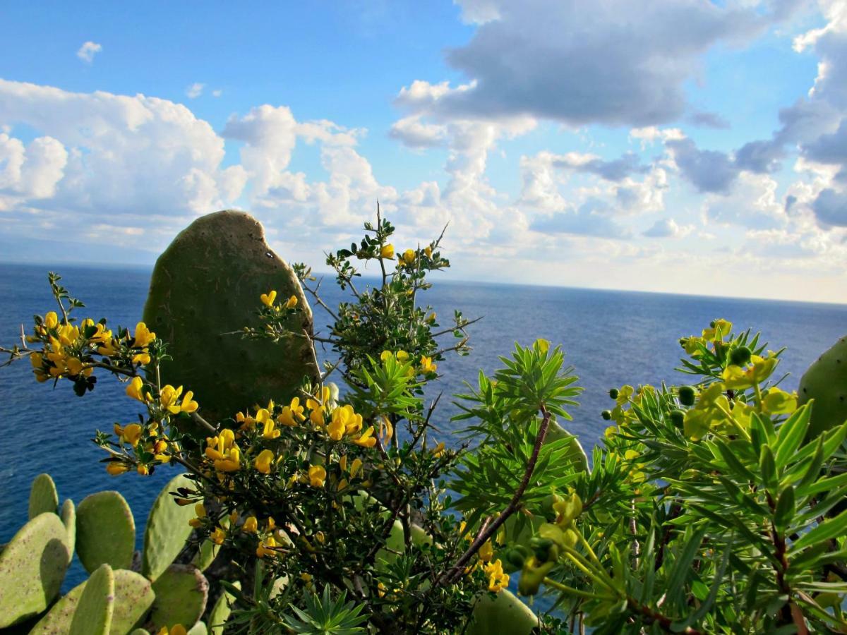 Casa Vacanze Miceli Tropea Εξωτερικό φωτογραφία