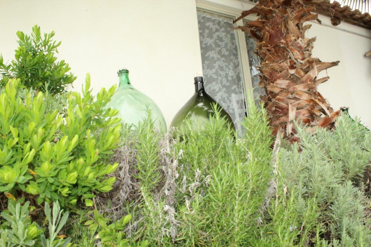 Casa Vacanze Miceli Tropea Εξωτερικό φωτογραφία
